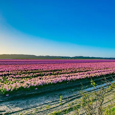 Duinzicht Дом отдыха *