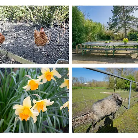 Duinzicht 卡兰茨奥赫