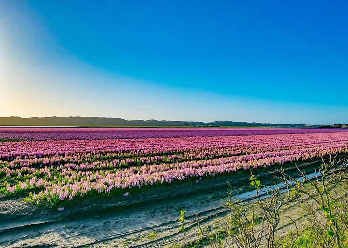 Duinzicht Semesterbostad *