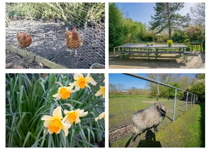 Duinzicht Callantsoog